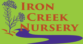 Iron Creek Nursery
